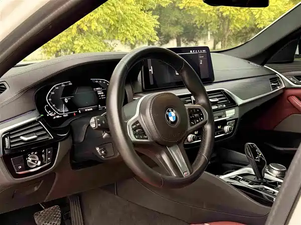 BMW 5 Series New Energy 2021