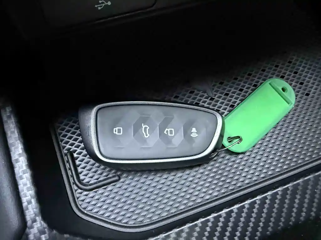 Haval Big Dog PLUS New Energy 2024 — фото 17