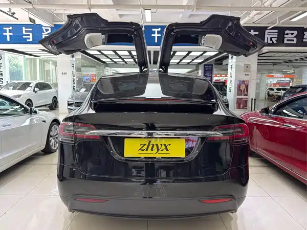 Tesla Model X 2020