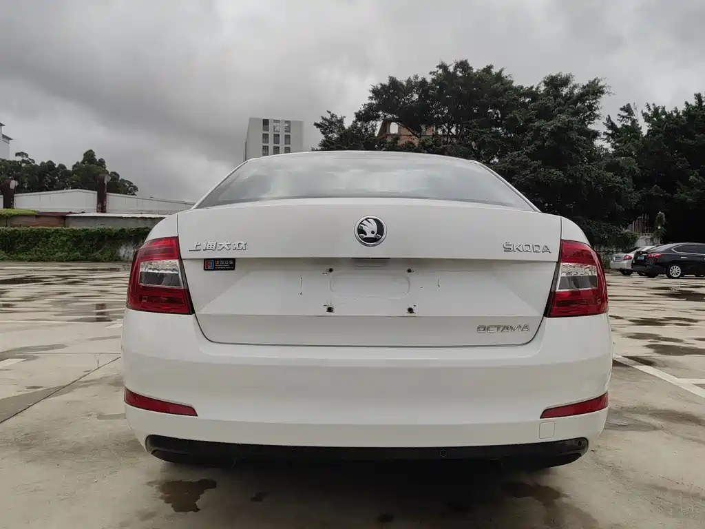 Skoda Octavia 2014 — фото 13