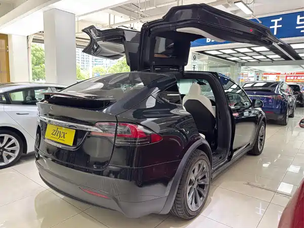 Tesla Model X 2020