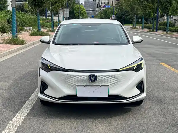 Changan Yidong New Energy 2022