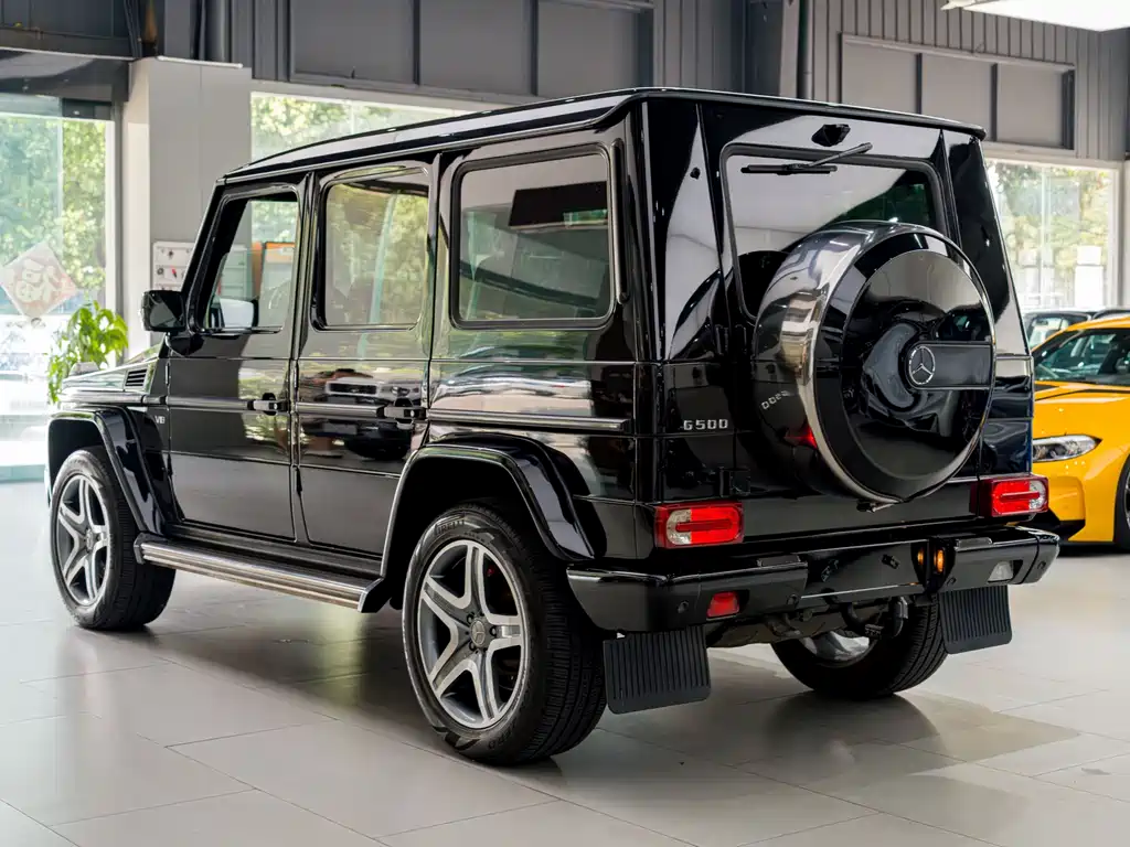 Mercedes-Benz G-Class 2010 — фото 17