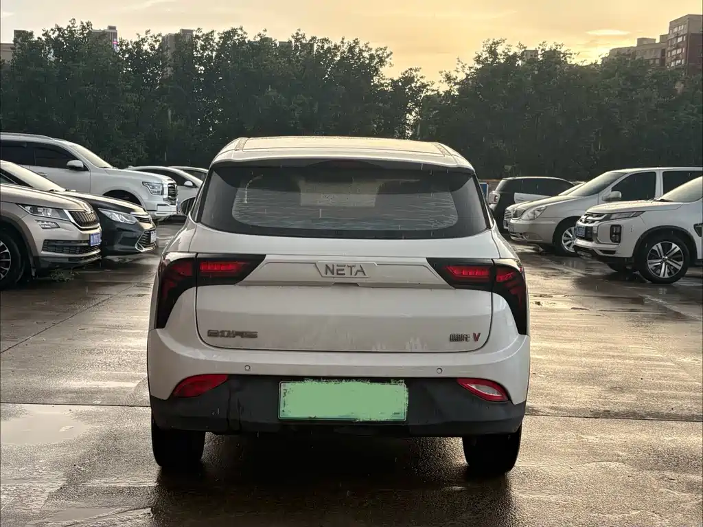 Neta V 2021