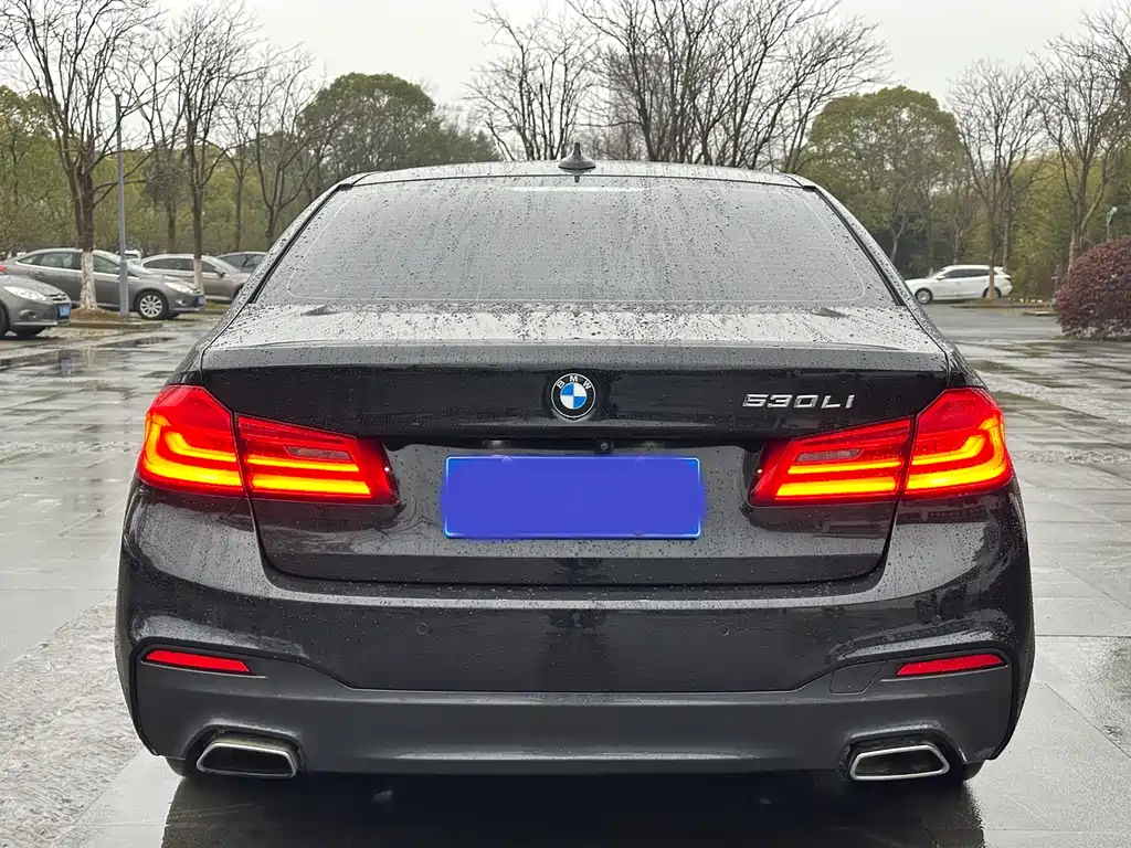BMW 5 Series 2019 — фото 5