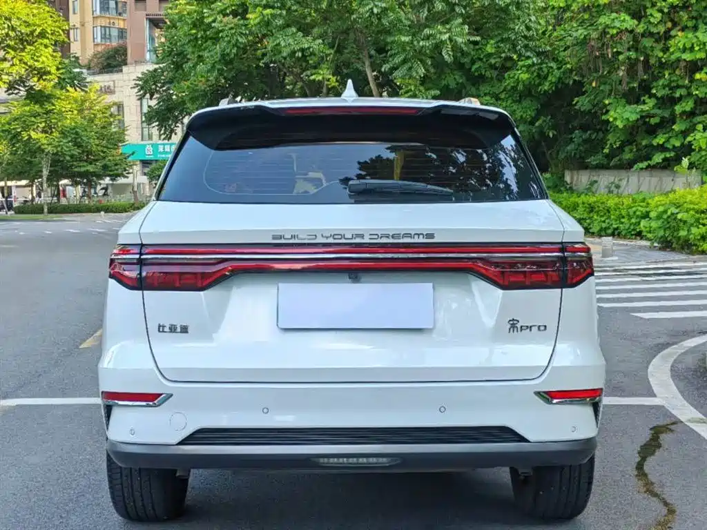 BYD Pro New Energy 2020 — фото 4