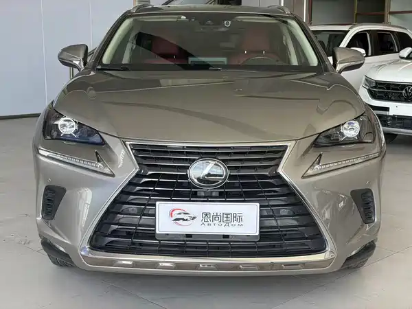 Lexus NX 2020
