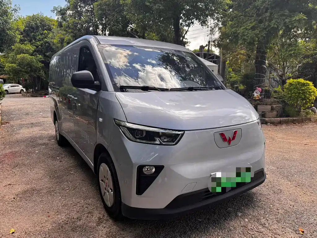 Wuling Yangguang 2024
