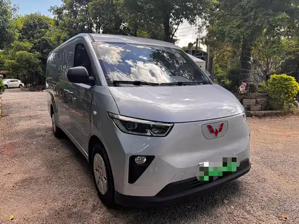 Wuling Yangguang 2024