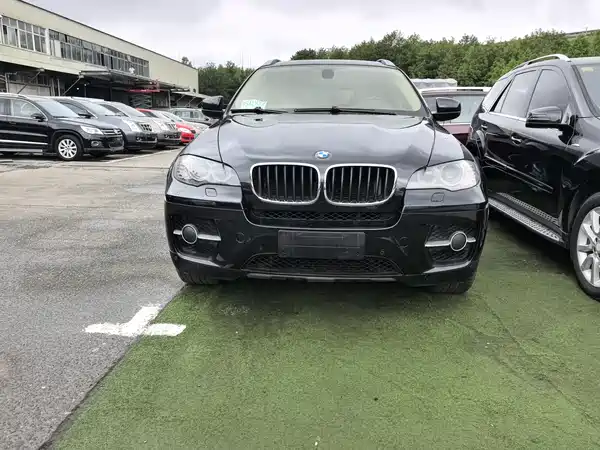 BMW X6 2010