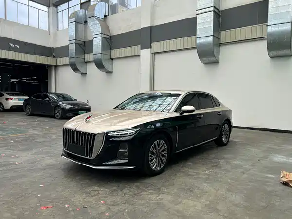 Hongqi H5 2023
