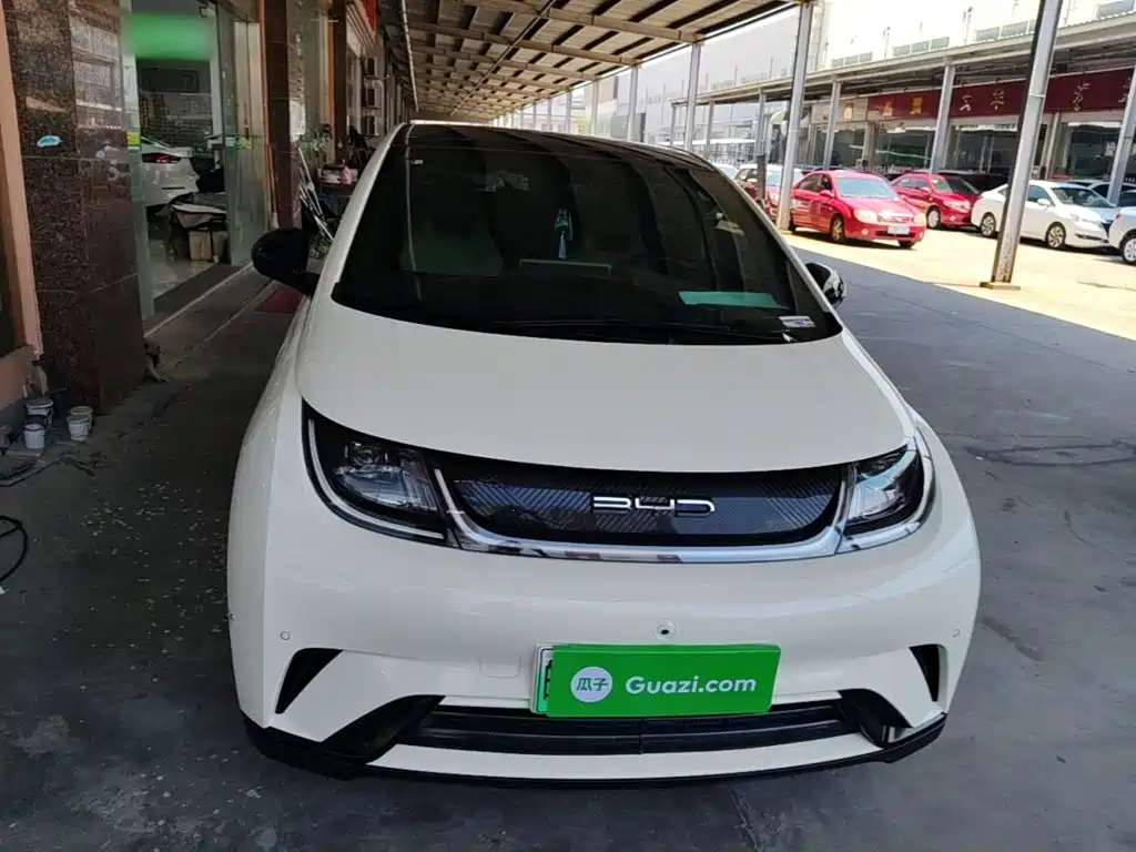 BYD Dolphin 2024