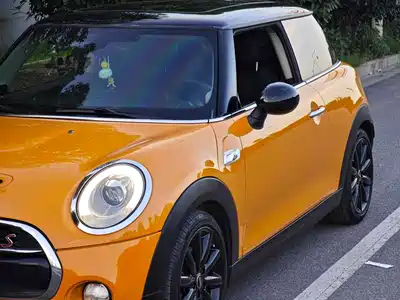 MINI MINI 2015