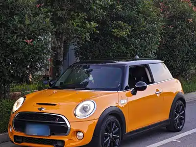 MINI MINI 2015