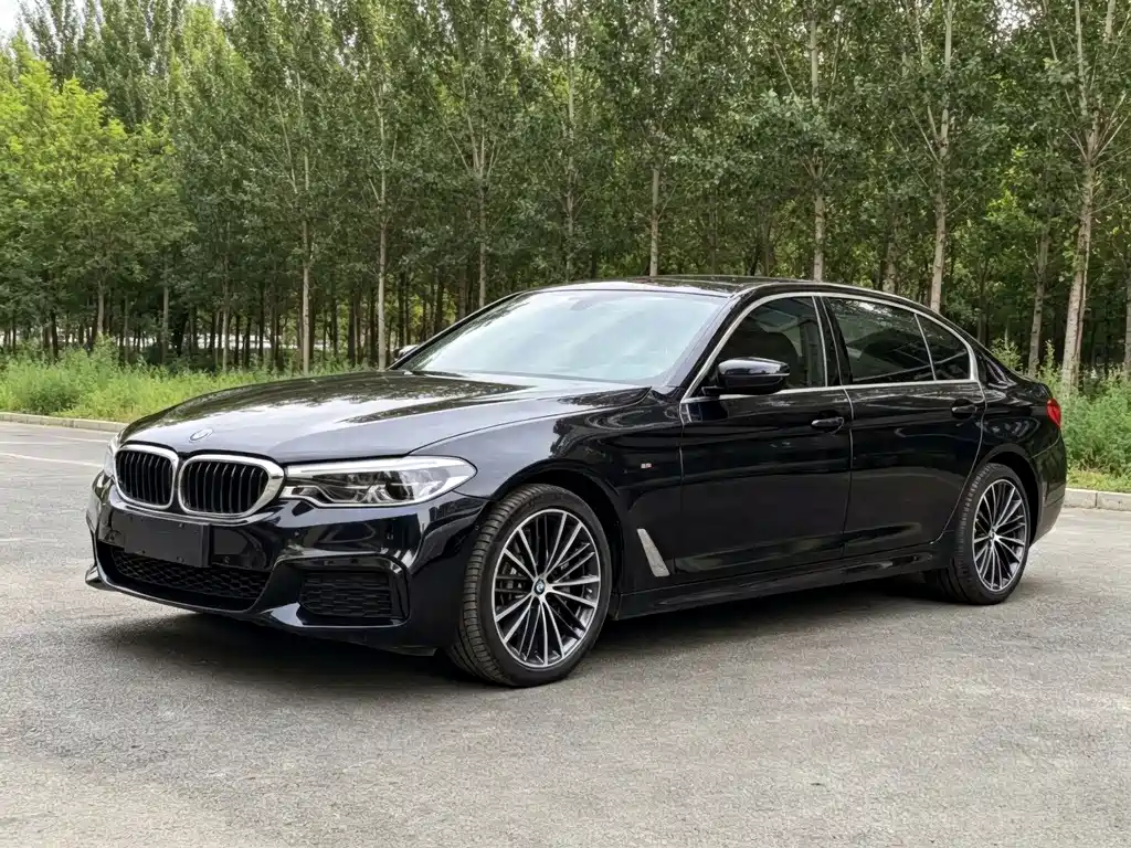 BMW 5 Series 2020