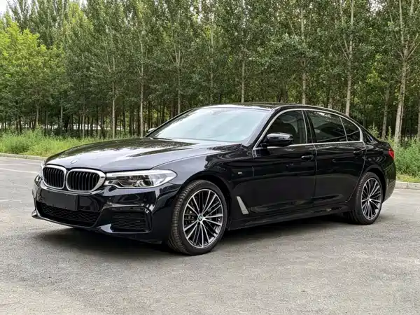 BMW 5 Series 2020