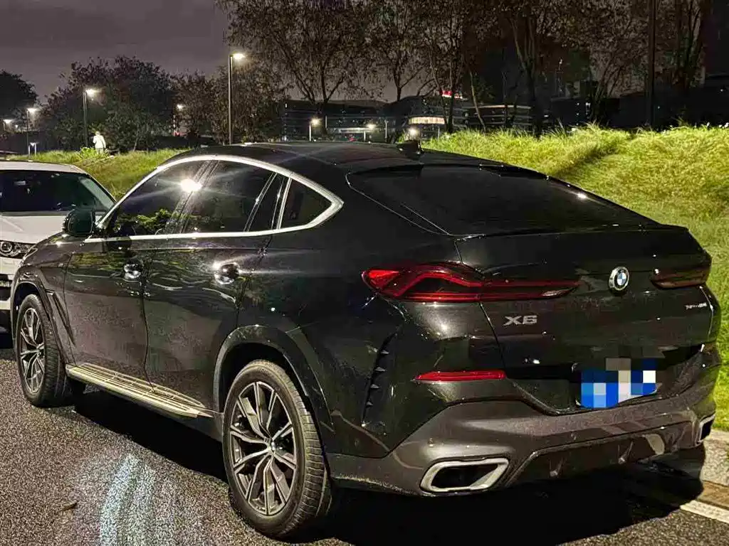 BMW X6 2021 — фото 3
