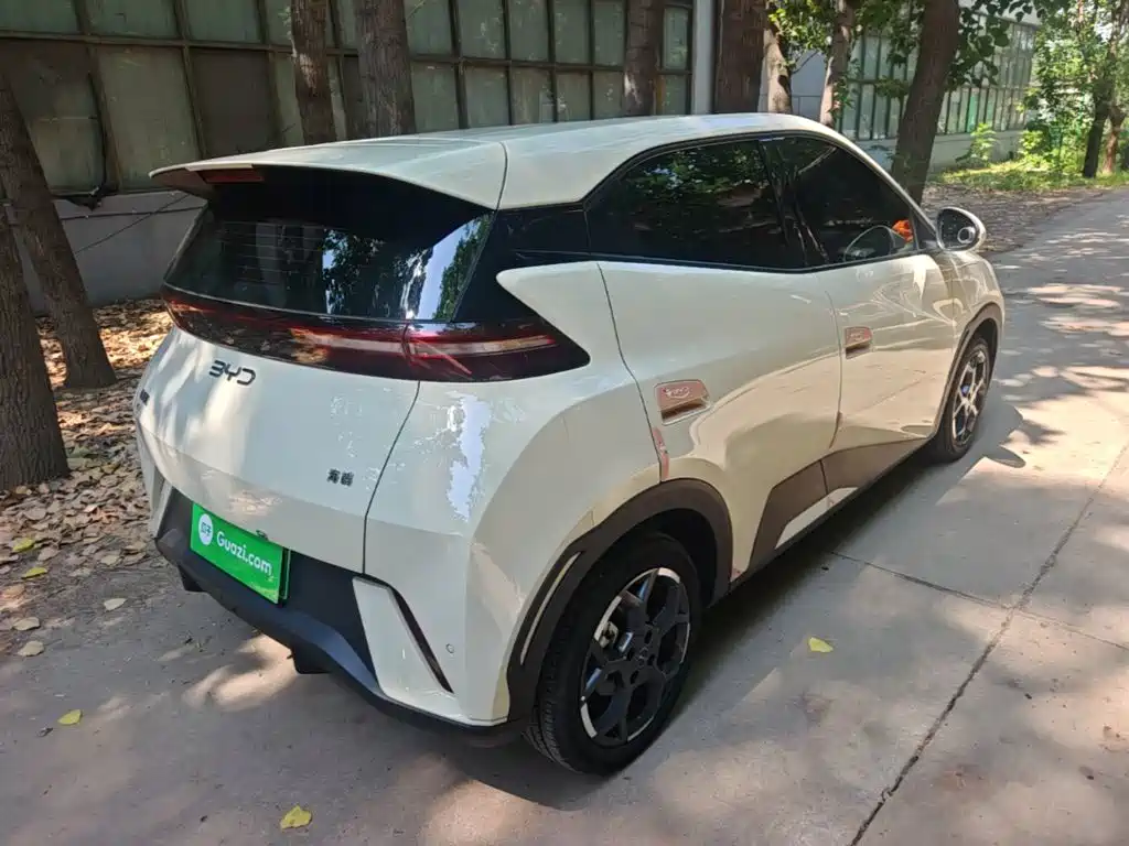 BYD Seagull 2024