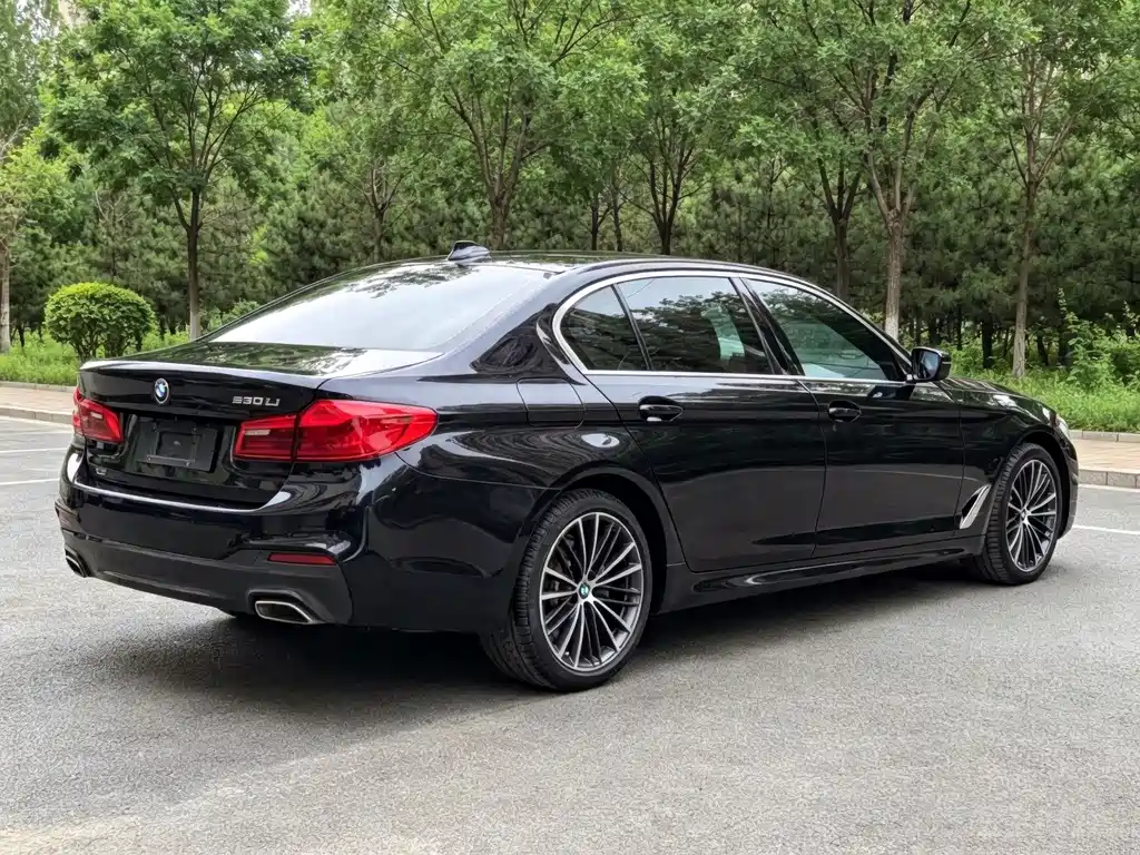 BMW 5 Series 2020