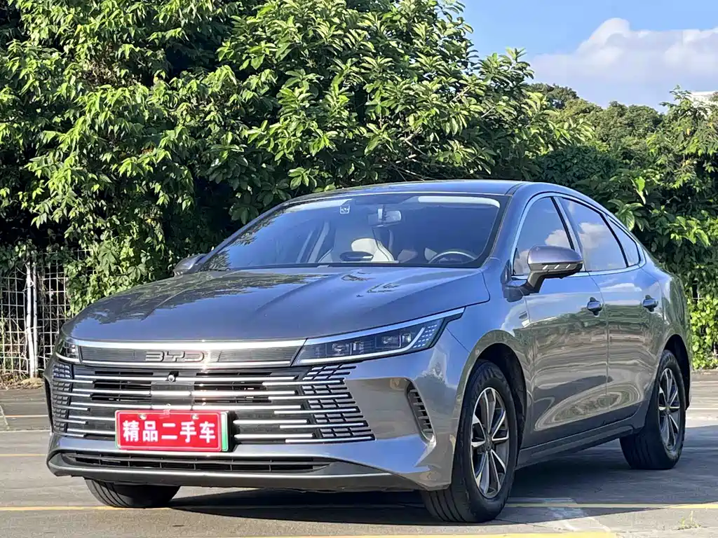BYD Destroyer 05 2024 — фото 1