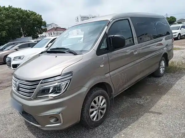 Dongfeng Lingzhi 2019