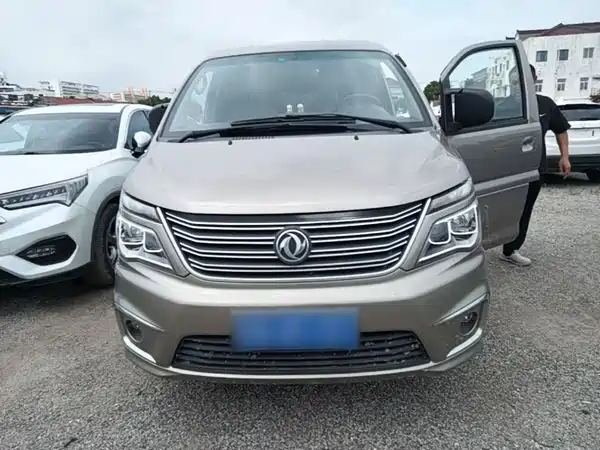 Dongfeng Lingzhi 2019