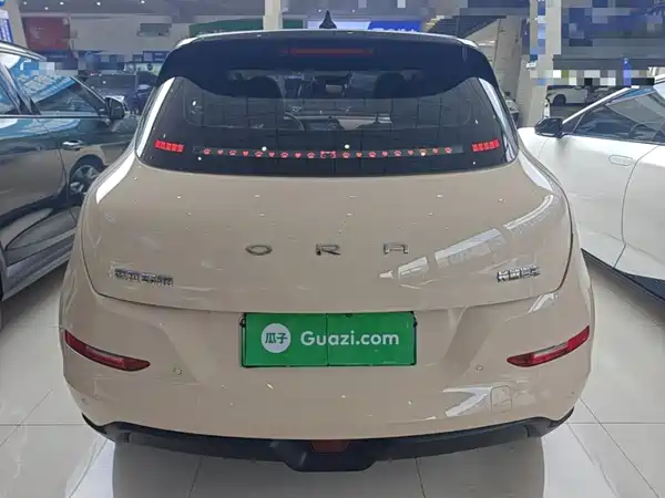 Ora Good Cat 2022
