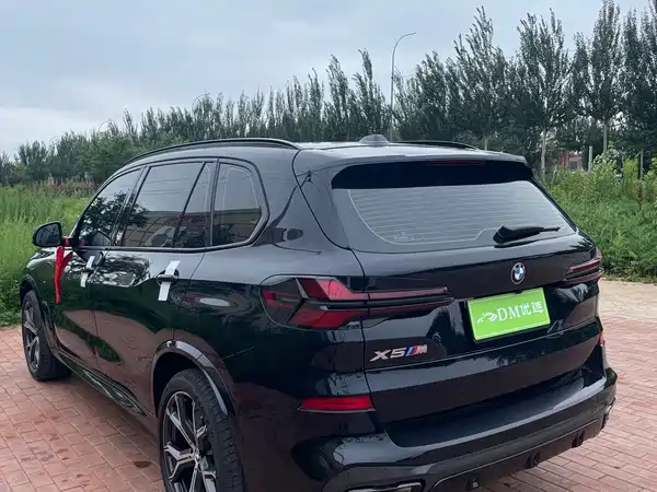 BMW X5 2025