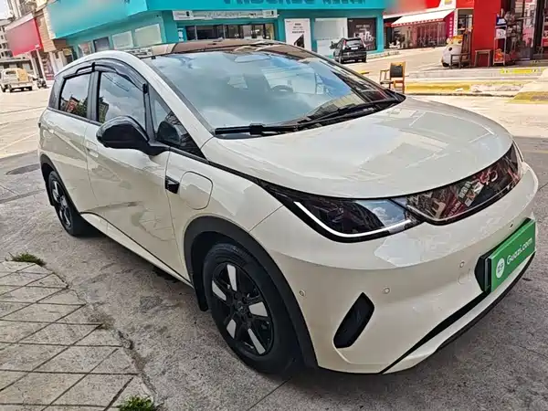 BYD Dolphin 2025