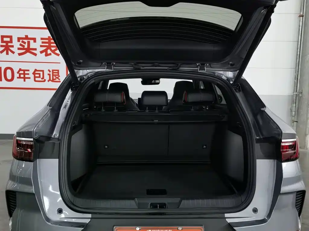 BYD Song PLUS New Energy 2023 — фото 16