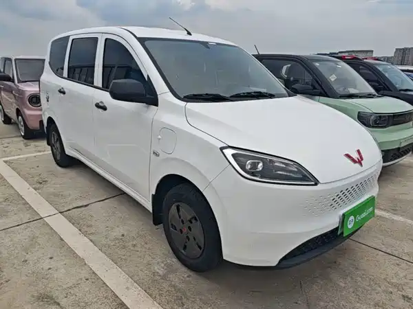 Wuling Hongguang New Energy 2025