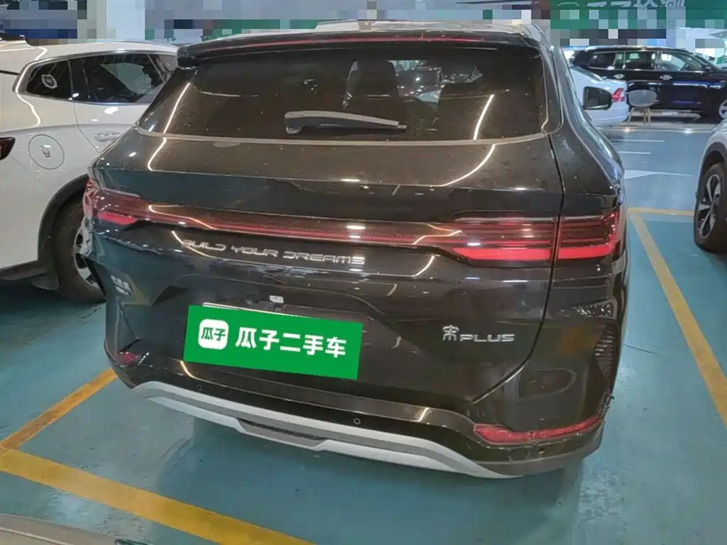 BYD PLUS New Energy 2024 — фото 6