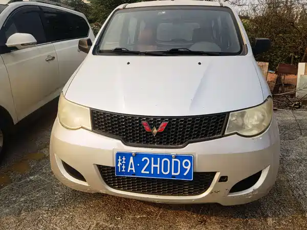 Wuling Hongguang 2010