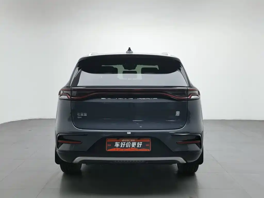 BYD Tang New Energy 2021