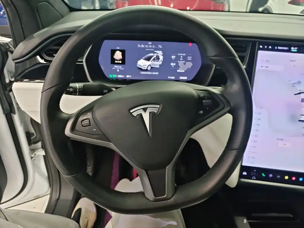 Tesla Model X 2019 — фото 11