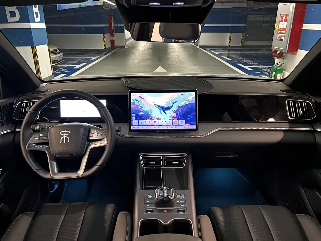 BYD Song Pro New Energy 2025 — фото 9