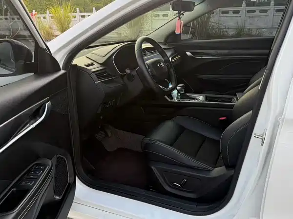 Geely Binrui 2021