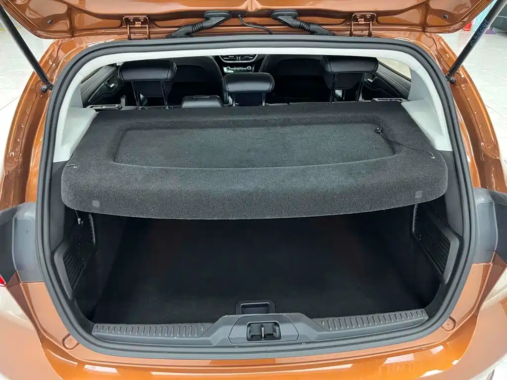 Ford Fox Active 2021 — фото 16