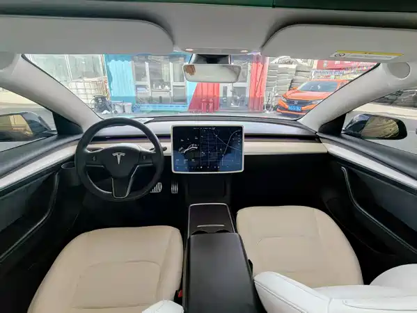 Tesla Model 3 2021
