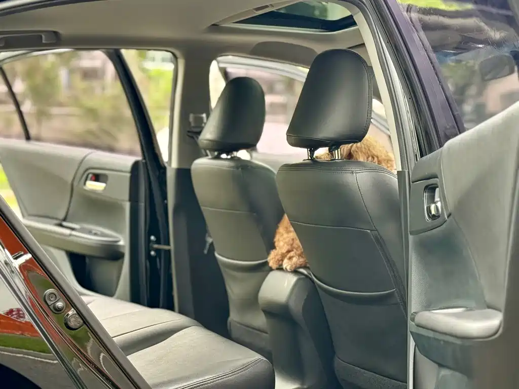 Honda Accord 2017 — фото 12