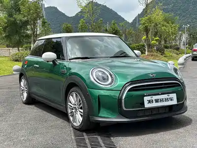 MINI MINI 2021