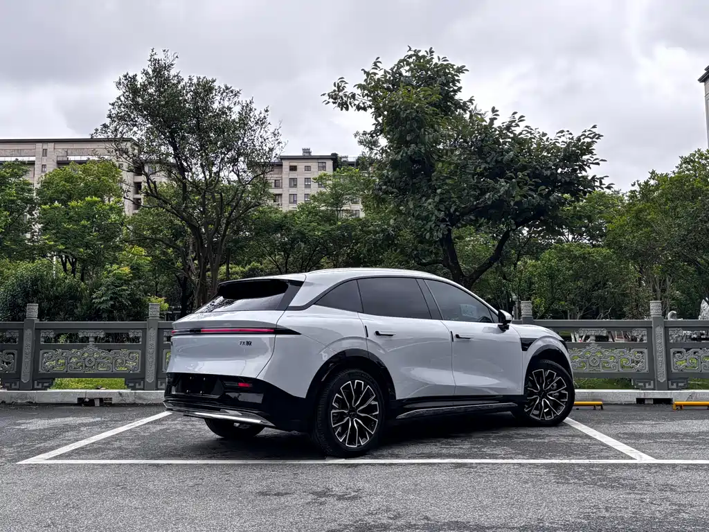 Zeekr 7X 2025