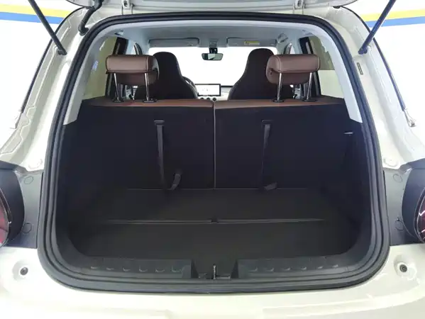 Wuling Bingo 2024
