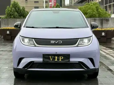BYD Dolphin 2024