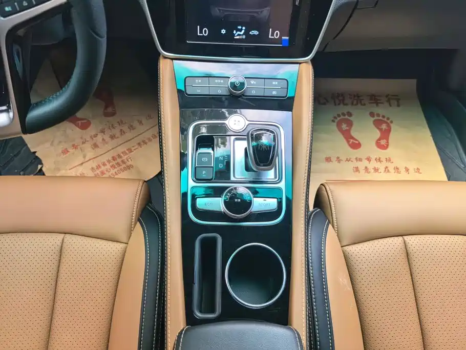 BYD Qin NEV 2018 — фото 16