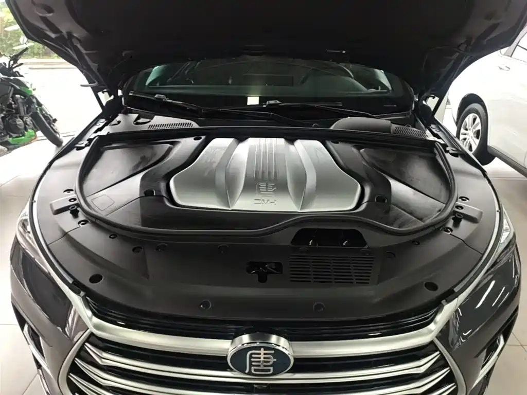 BYD Tang New Energy 2023 — фото 20