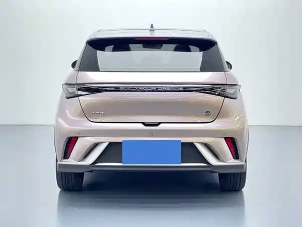 BYD Dolphin 2022