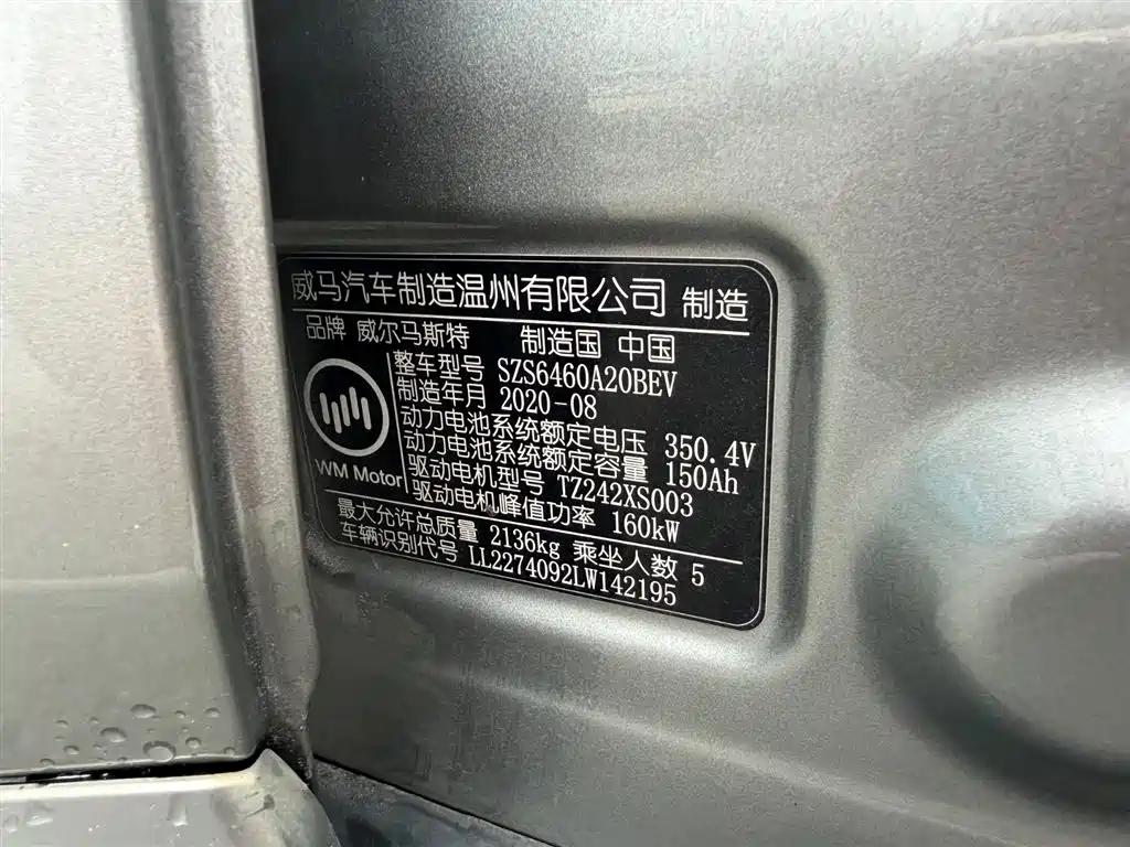 WM Motor EX5 2020 — фото 12