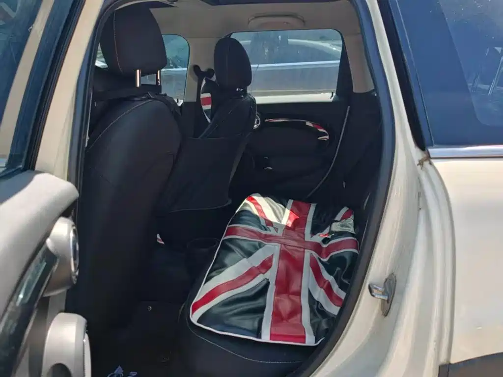 MINI MINI 2018