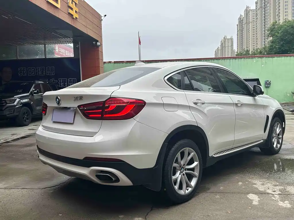BMW X6 2020 — фото 6